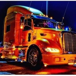 Meet your Posher, Dalia